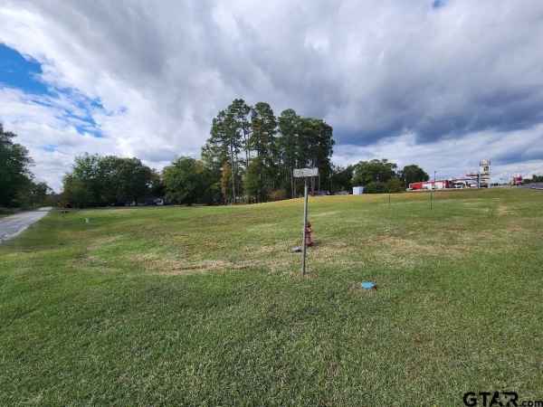 Listing Image #1 - Others for sale at TBD N US HWY 259, Ore City TX 75683