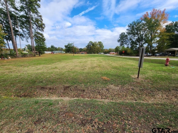 Listing Image #2 - Others for sale at TBD N US HWY 259, Ore City TX 75683