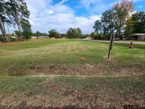 Listing Image #3 - Others for sale at TBD N US HWY 259, Ore City TX 75683