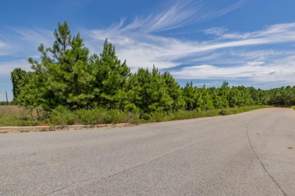 Listing Image #3 - Others for sale at TBD Dove Manor Rd, Littleton NC 27850
