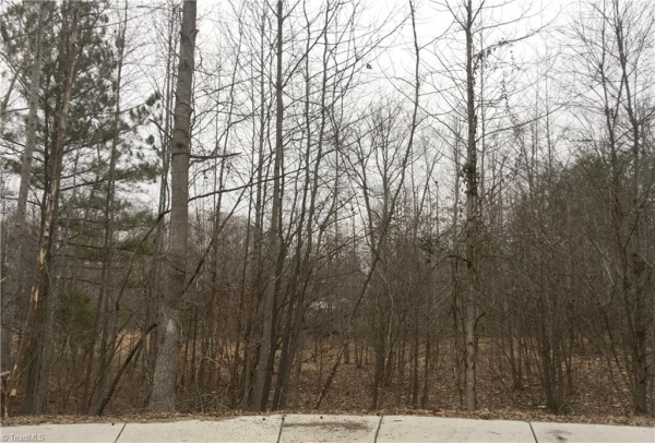 Listing Image #1 - Industrial for sale at 000 Kennedy Street, Eden NC 27288