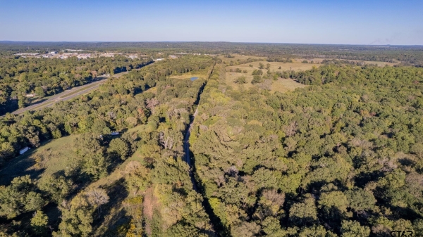 Listing Image #3 - Others for sale at 11942 Hwy 271 N., Tyler TX 75708