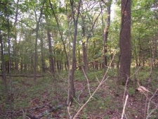 Industrial property for sale in Farmington, MO