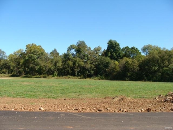 Listing Image #1 - Industrial for sale at 0 Hwy 67, Desloge MO 63601