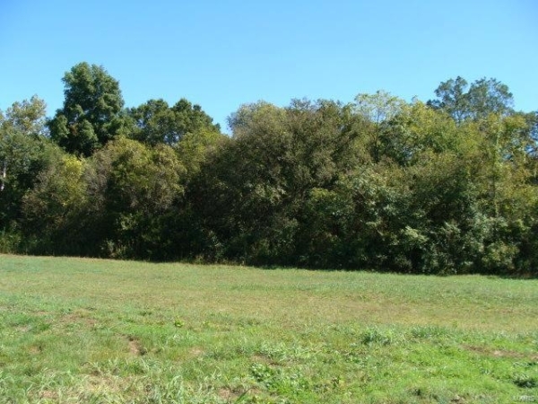 Listing Image #2 - Industrial for sale at 0 Hwy 67, Desloge MO 63601