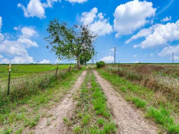 Listing Image #3 - Others for sale at 1807 Fm 758 None, New Braunfels TX 78130