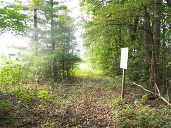 Listing Image #2 - Industrial for sale at 0 Hunt Road, Farmington MO 63640