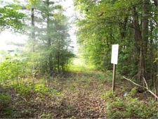 Listing Image #2 - Industrial for sale at 0 Hunt Road, Farmington MO 63640