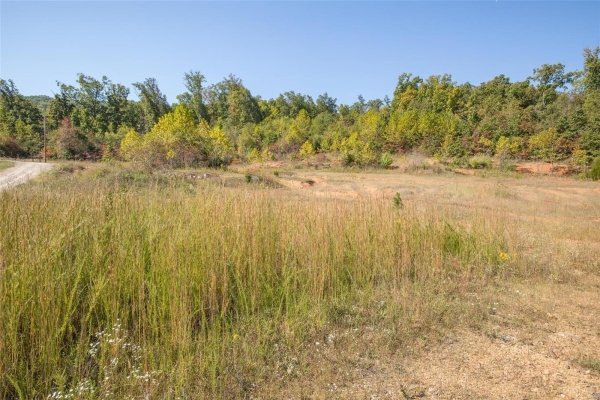 Listing Image #3 - Industrial for sale at 0 Highway 21, Ironton MO 63650