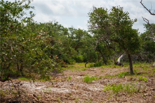 Listing Image #2 - Industrial for sale at 704 State Highway 35 Hwy, Rockport TX 78382