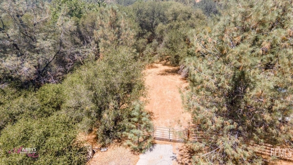 Listing Image #3 - Land for sale at 28060 Carlyle Springs Road, Keene CA 93531