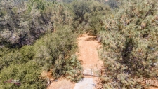 Listing Image #3 - Land for sale at 28060 Carlyle Springs Road, Keene CA 93531