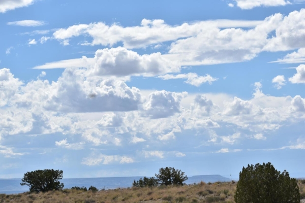 Listing Image #3 - Others for sale at N/A SW, Albuquerque NM 87068