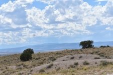 Others property for sale in Albuquerque, NM
