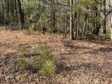 Listing Image #3 - Land for sale at Lakeland Drive, Ellijay GA 30540