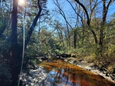 Land property for sale in Meggett, SC