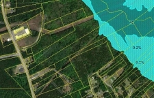 Listing Image #2 - Land for sale at 0 Cainhoy Road, Huger SC 29450