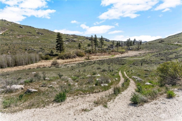 Listing Image #3 - Land for sale at 490 VALLEY ROAD, BREWSTER WA 98816