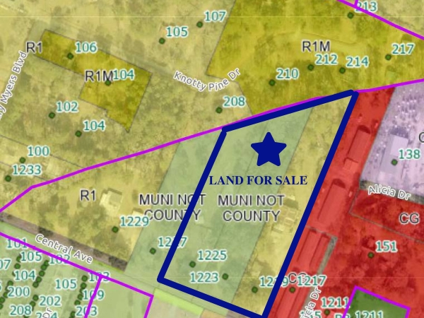 Listing Image #1 - Land for sale at 1219 Central Avenue, Summerville SC 29483