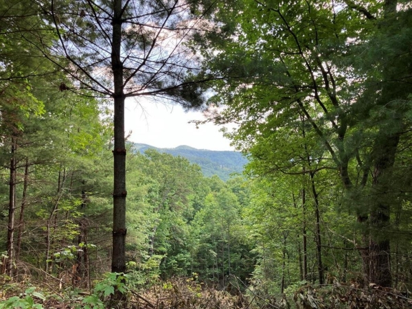 Listing Image #1 - Land for sale at Lt 15 View Ridge Trail, Murphy NC 28906