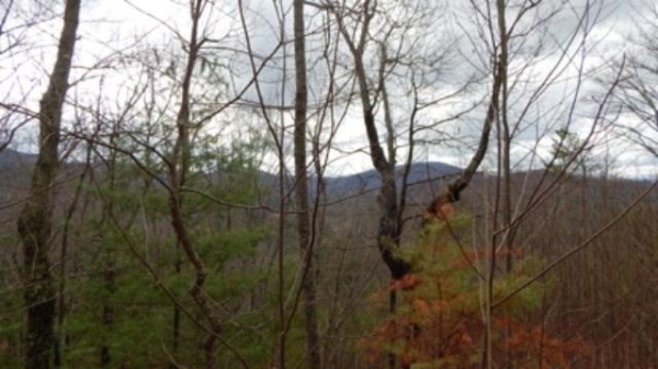 Listing Image #2 - Land for sale at Lt 15 View Ridge Trail, Murphy NC 28906