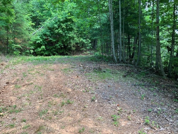 Listing Image #3 - Land for sale at Lt 15 View Ridge Trail, Murphy NC 28906