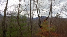 Listing Image #2 - Land for sale at Lt 15 View Ridge Trail, Murphy NC 28906