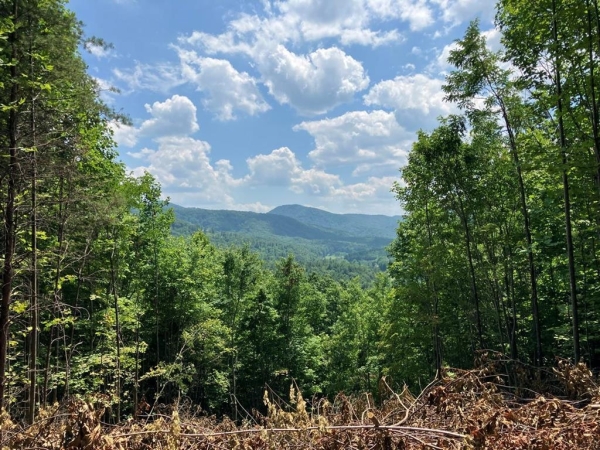 Listing Image #1 - Land for sale at 13 View Ridge Trail, Murphy NC 28906