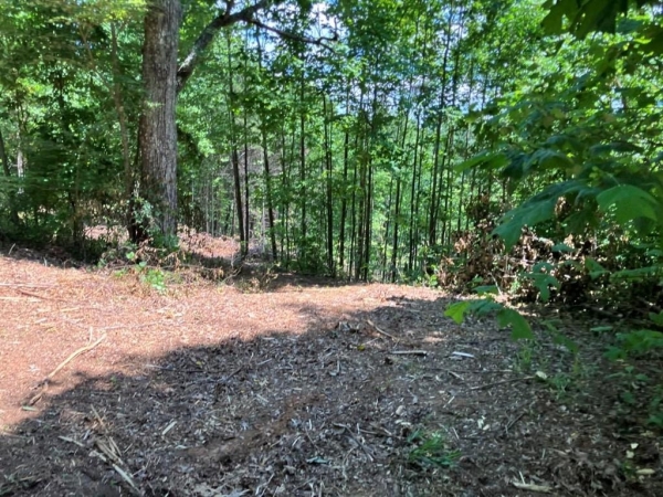 Listing Image #2 - Land for sale at 13 View Ridge Trail, Murphy NC 28906