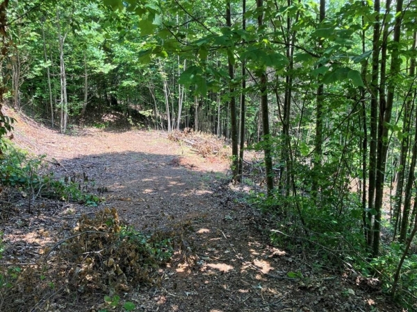 Listing Image #3 - Land for sale at 13 View Ridge Trail, Murphy NC 28906