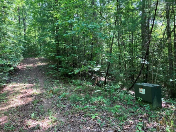 Listing Image #1 - Land for sale at 2 View Ridge Trail, Murphy NC 28906
