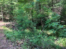 Listing Image #2 - Land for sale at 2 View Ridge Trail, Murphy NC 28906