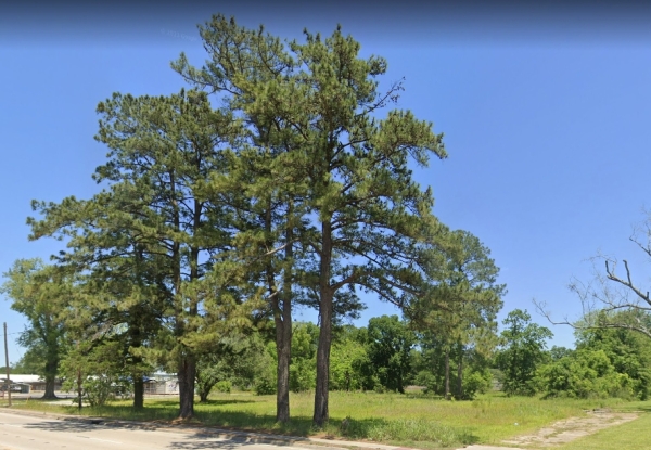 Listing Image #2 - Land for sale at 13168 LA Hwy 44, Gonzales LA 70737