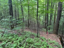 Land property for sale in Murphy, NC