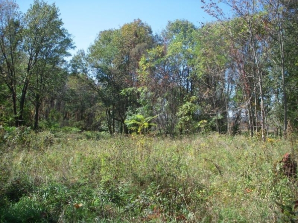 Listing Image #1 - Land for sale at 66 Vernon Crossing, Vernon NJ 07418