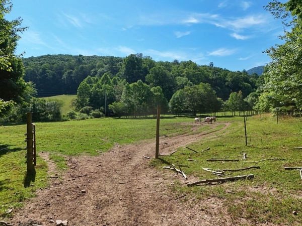 Listing Image #3 - Land for sale at 13.4AC Mount Pleasant Church Road, Blairsville GA 30512