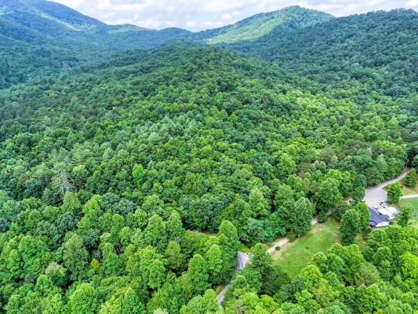 Listing Image #3 - Land for sale at Pine Log Church Road, Brasstown NC 28902