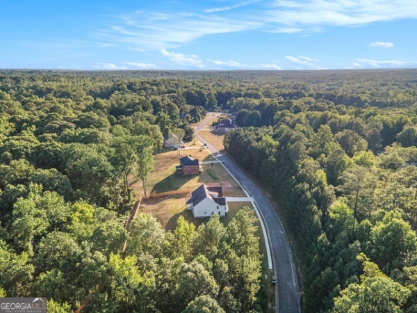 Listing Image #2 - Land for sale at 1026 Queens Bridge Way, Griffin GA 30223