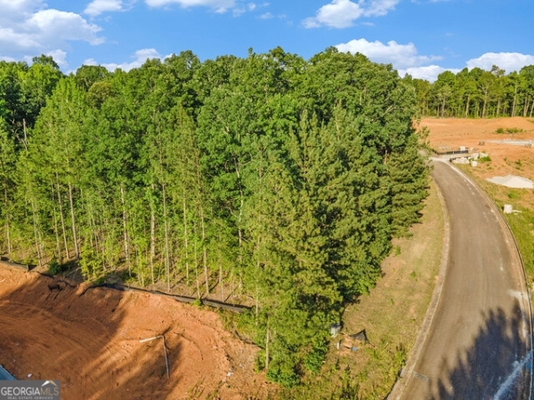 Listing Image #3 - Land for sale at 1026 Queens Bridge Way, Griffin GA 30223