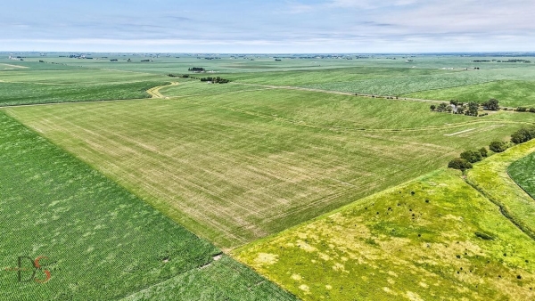 Listing Image #3 - Others for sale at Lot #1 E 12th Road, Streator IL 61364