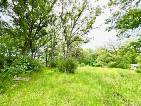 Listing Image #2 - Land for sale at 7584 N Route 97 S Unit #97, Narrowburg NY 12764