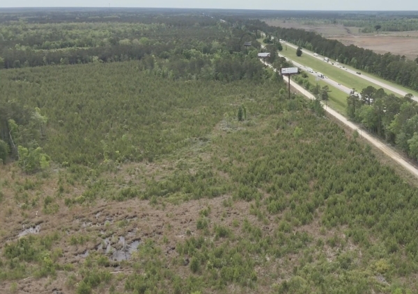Listing Image #1 - Land for sale at 0 Acorn Rd, Walterboro SC 29488 Listing Image #1 - Land for sale at 0 Acorn Rd, Walterboro SC 29488