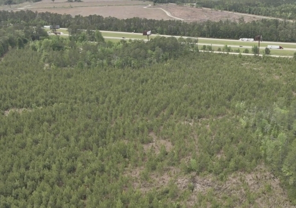 Listing Image #3 - Land for sale at 0 Acorn Rd, Walterboro SC 29488 Listing Image #3 - Land for sale at 0 Acorn Rd, Walterboro SC 29488