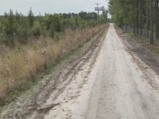 Listing Image #5 - Land for sale at 0 Acorn Rd, Walterboro SC 29488 Listing Image #5 - Land for sale at 0 Acorn Rd, Walterboro SC 29488