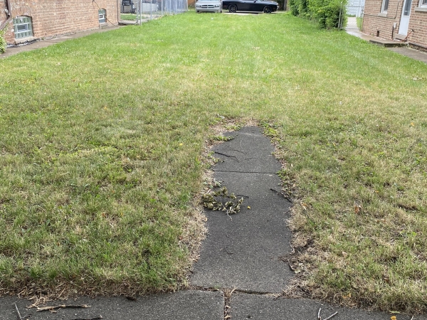 Listing Image #1 - Others for sale at 14217 Normal Ave, Riverdale IL 60827