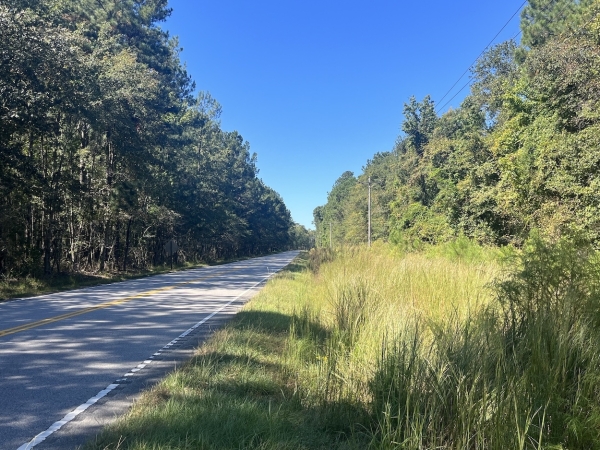 Listing Image #4 - Land for sale at 0 Mcleod Rd, Walterboro SC 29488 Listing Image #4 - Land for sale at 0 Mcleod Rd, Walterboro SC 29488