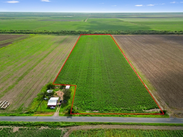 Listing Image #1 - Others for sale at 18.34 Acres FM 2556, Santa Rosa TX 78593