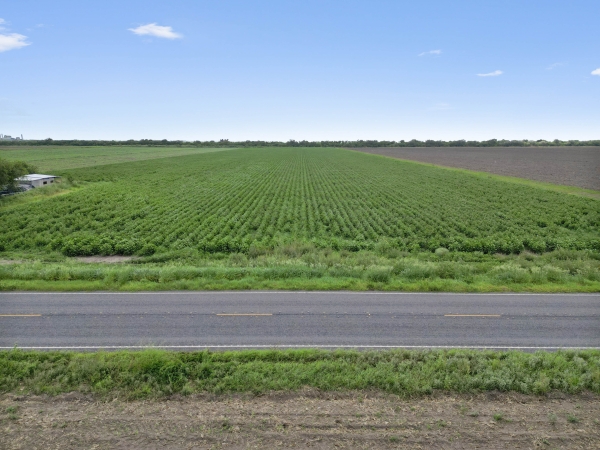 Listing Image #2 - Others for sale at 18.34 Acres FM 2556, Santa Rosa TX 78593