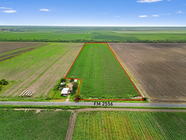 Listing Image #3 - Others for sale at 18.34 Acres FM 2556, Santa Rosa TX 78593