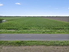 Listing Image #2 - Others for sale at 18.34 Acres FM 2556, Santa Rosa TX 78593